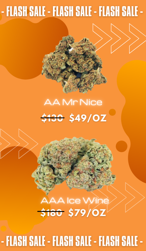 Cheap Canna