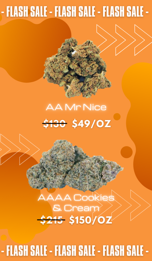 Cheap Canna