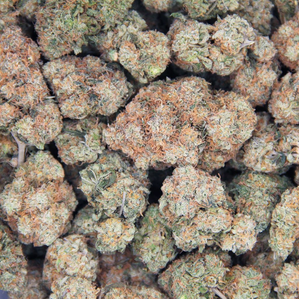 Cheap Canna