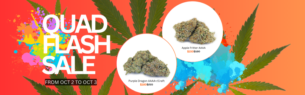 Cheap Canna