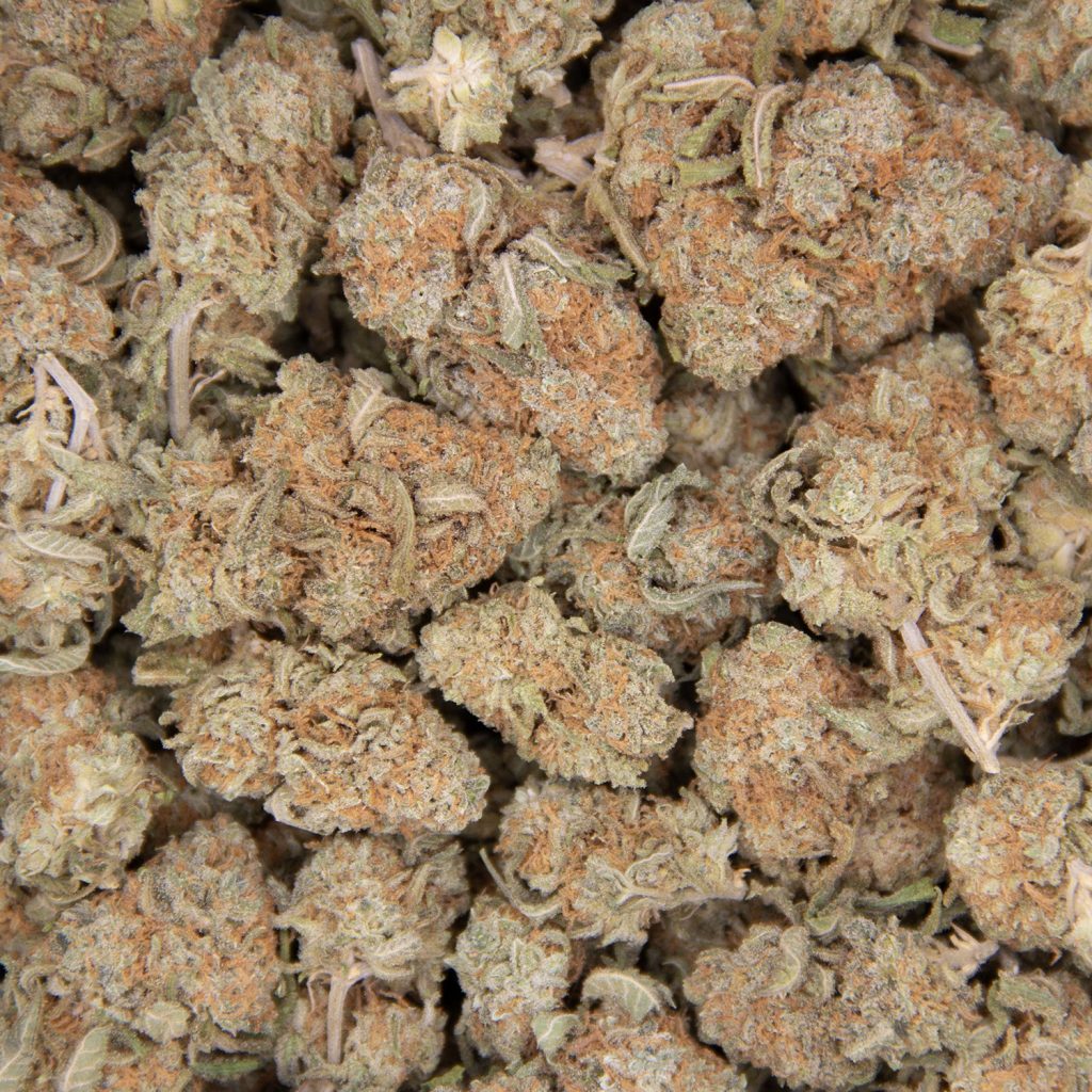 Cheap Canna