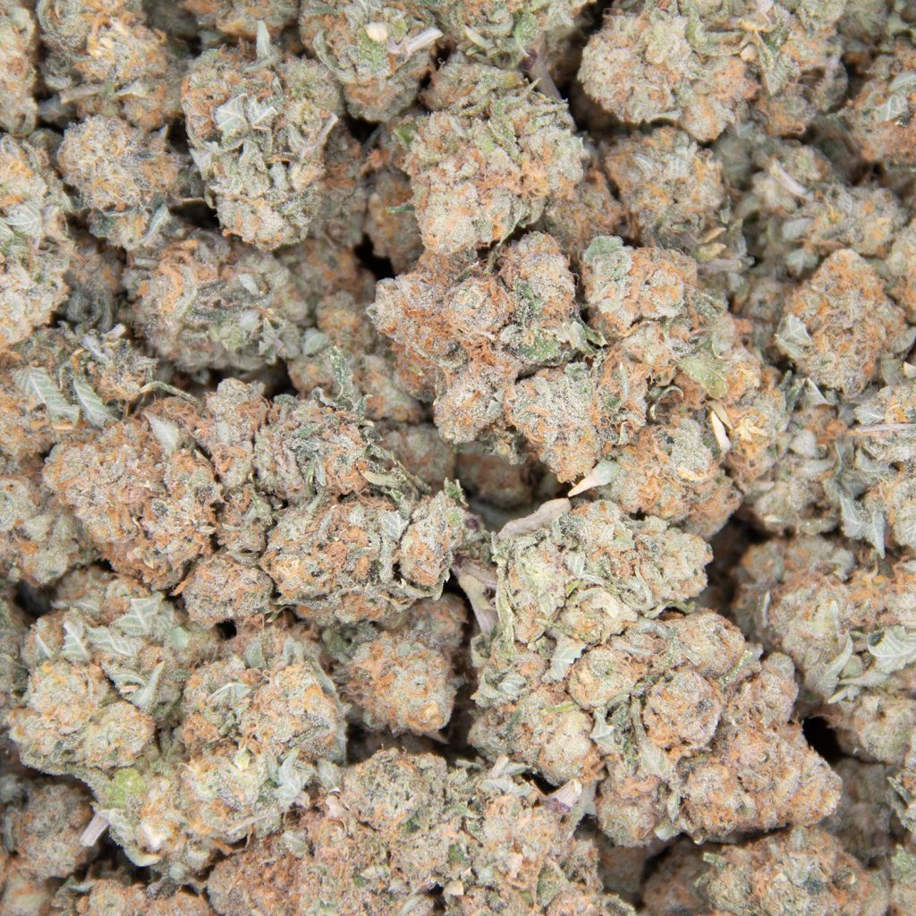 Cheap Canna