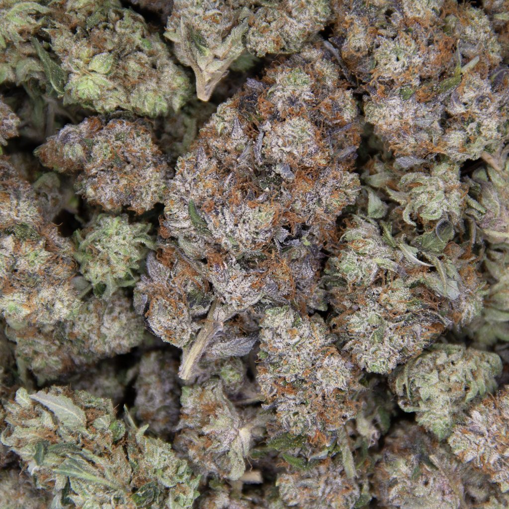 Gas Monkey AAAA Cheap Canna