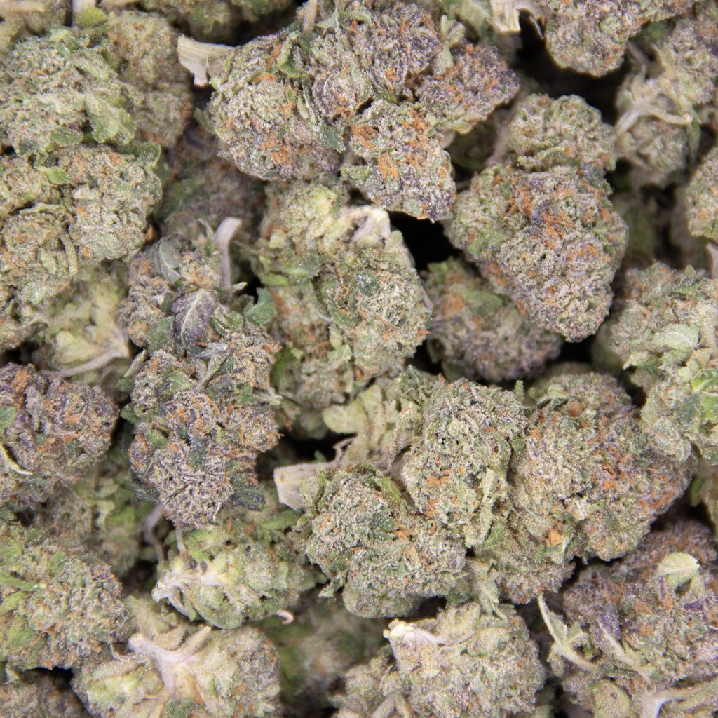 Cheap Canna