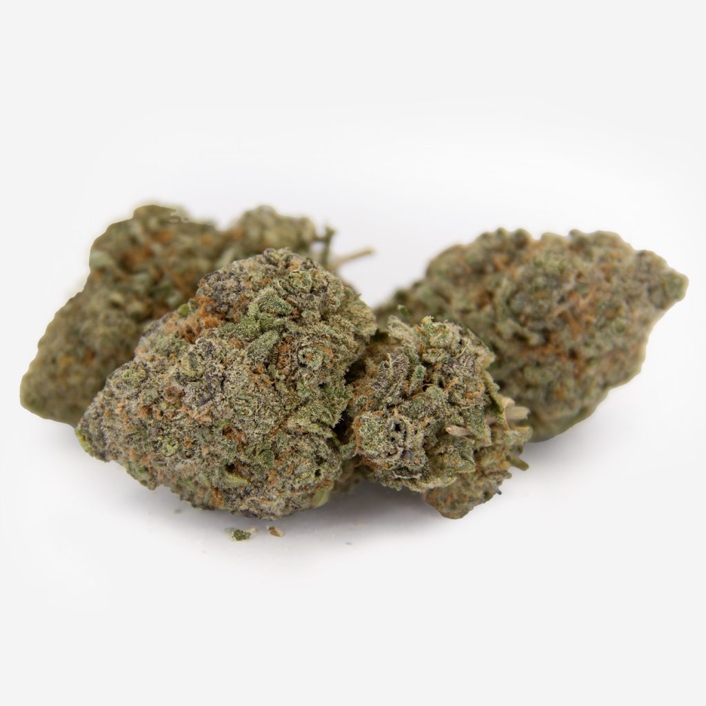 Cheap Canna