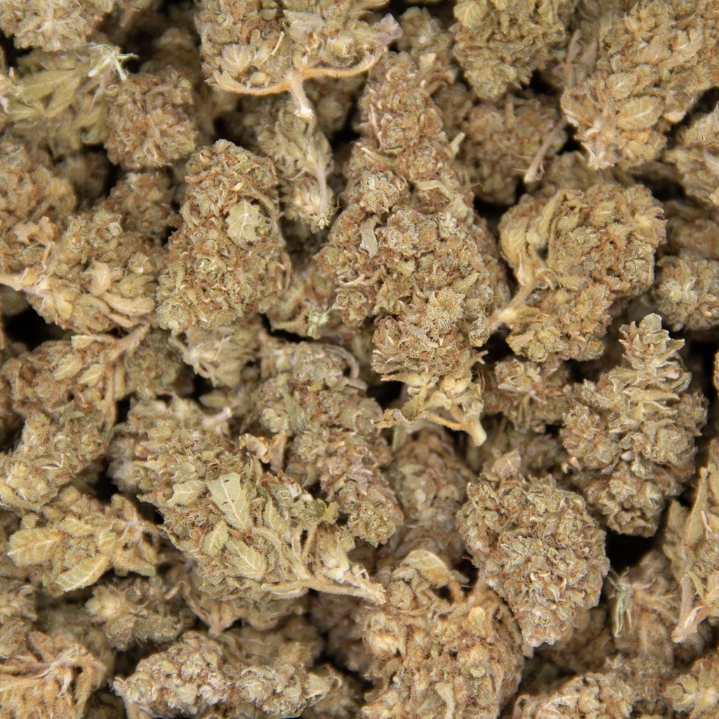 Cheap Canna