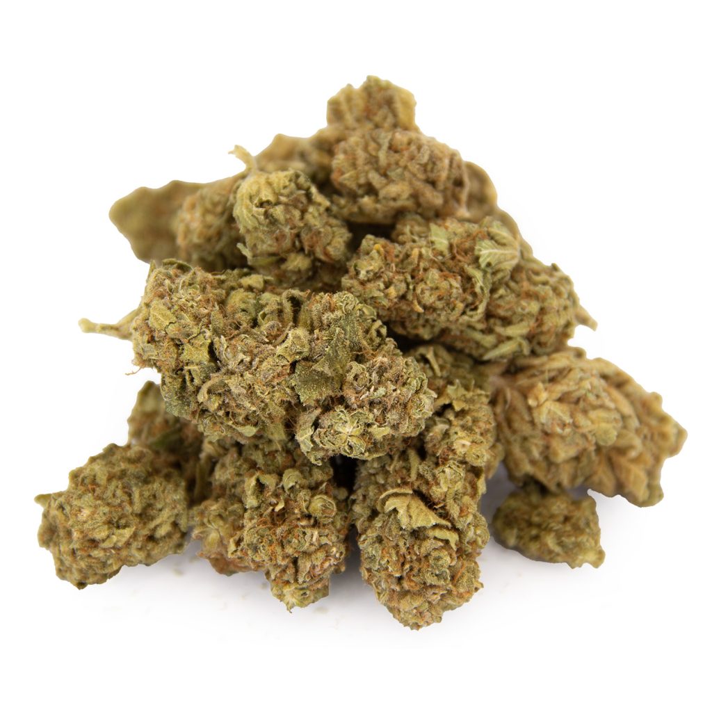 Cheap Canna