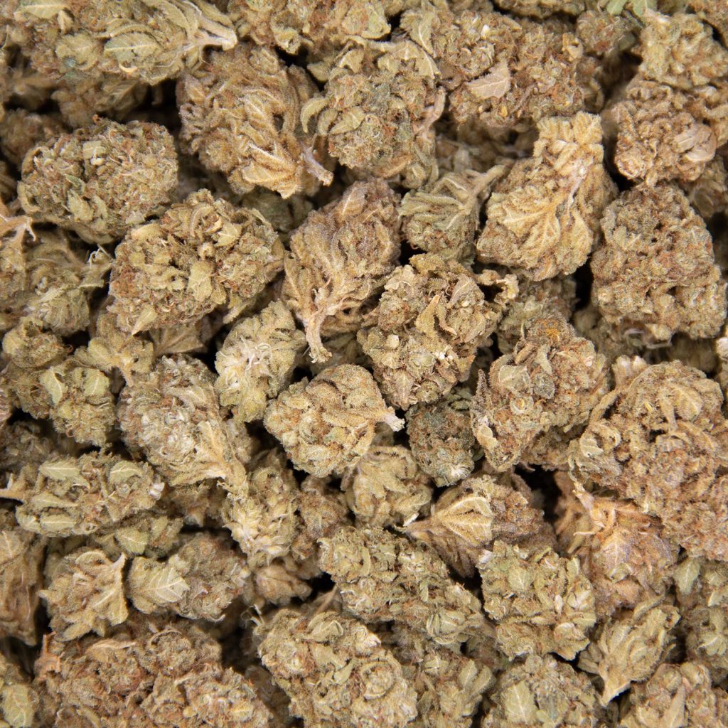 Cheap Canna