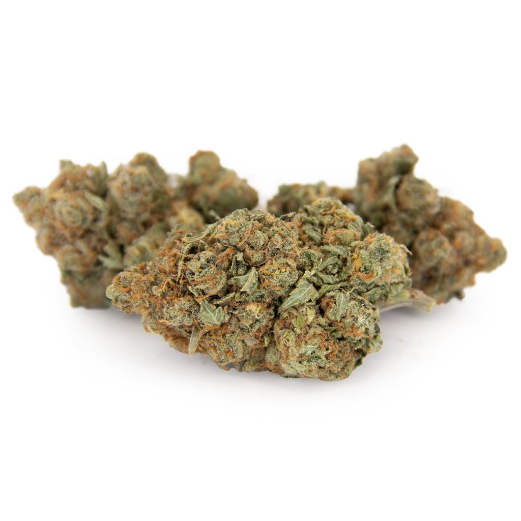 Cheap Canna