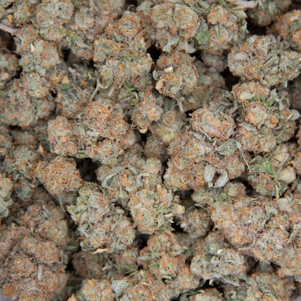 Cheap Canna