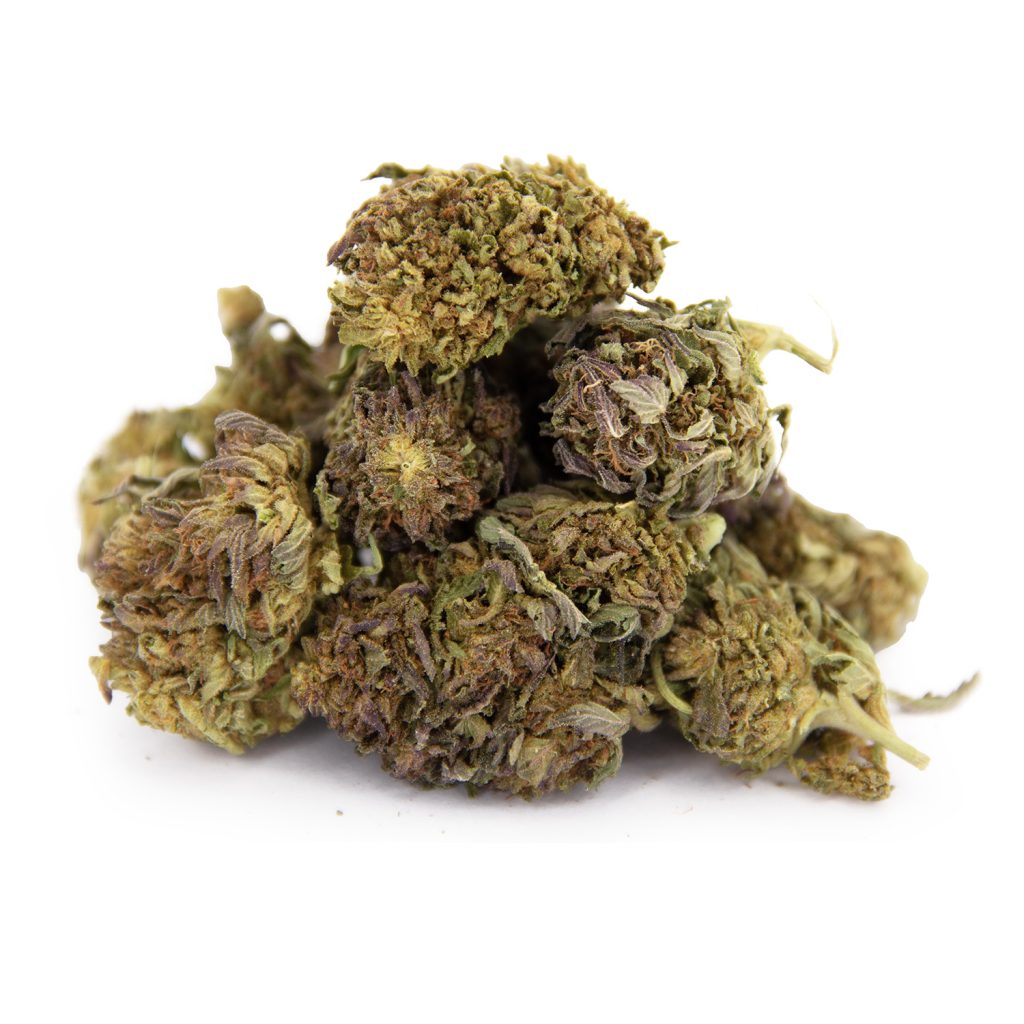 Power Plant AA Cheap Canna