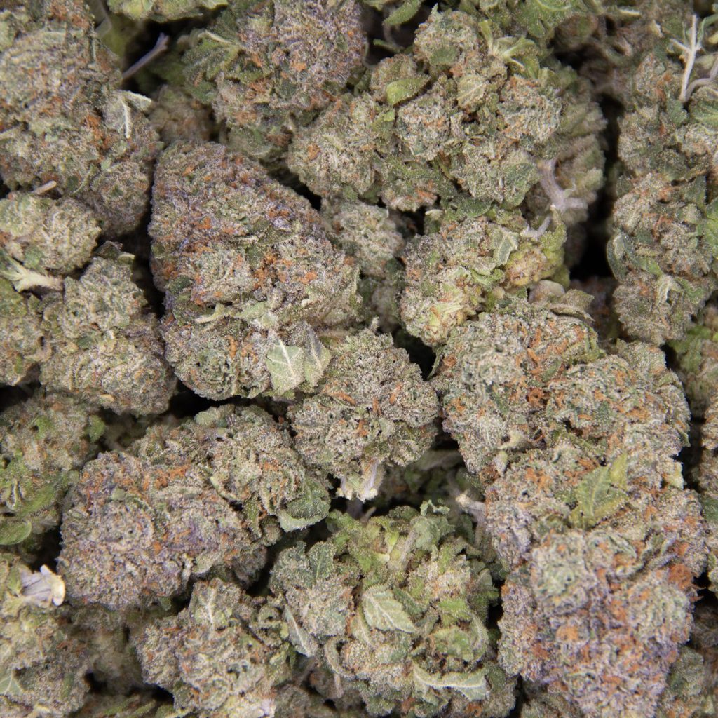 Cheap Canna