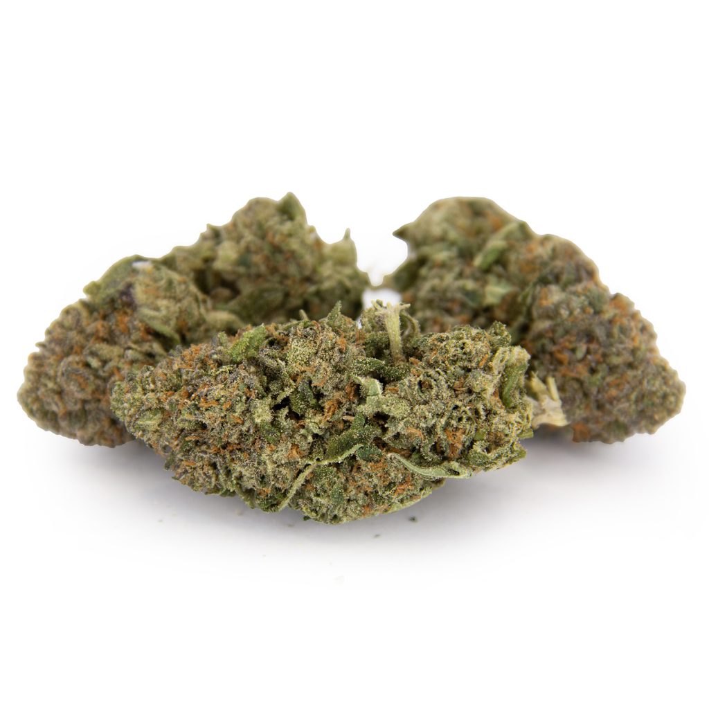 Cheap Canna