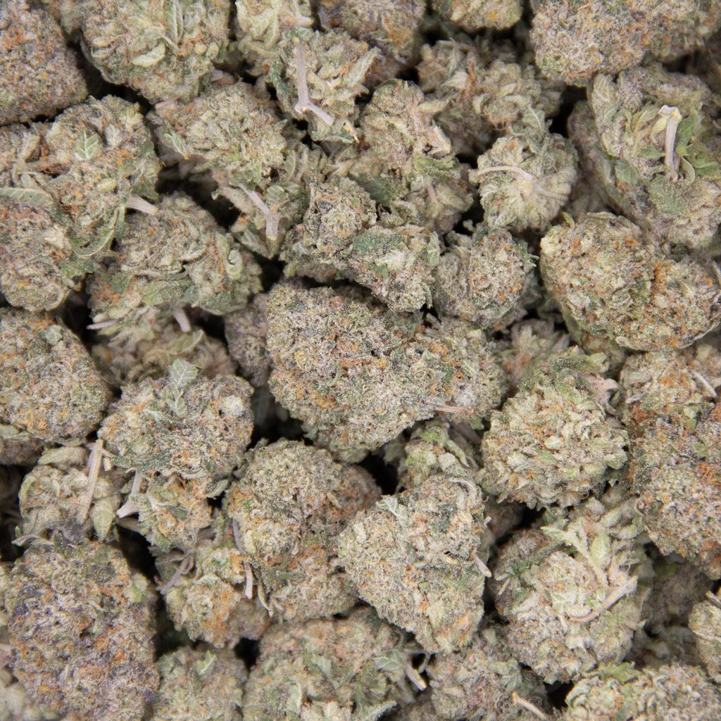 Cheap Canna