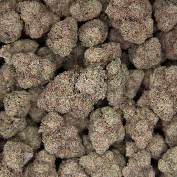 Gelato (Mediums) AAA - Image 3