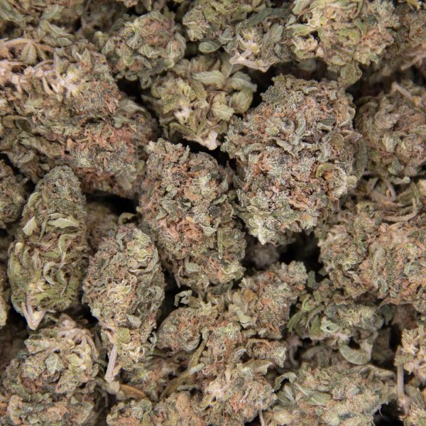 Durban Poison AA- - Image 2