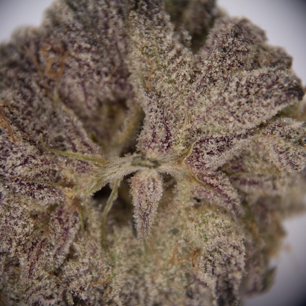 Grape Stomper AAAA - Image 2