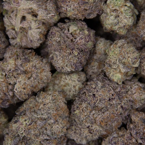 Grape Stomper AAAA - Image 3