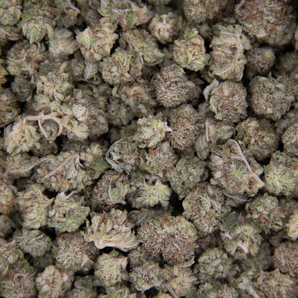 Killa Kush (popcorn) AAA - Image 3