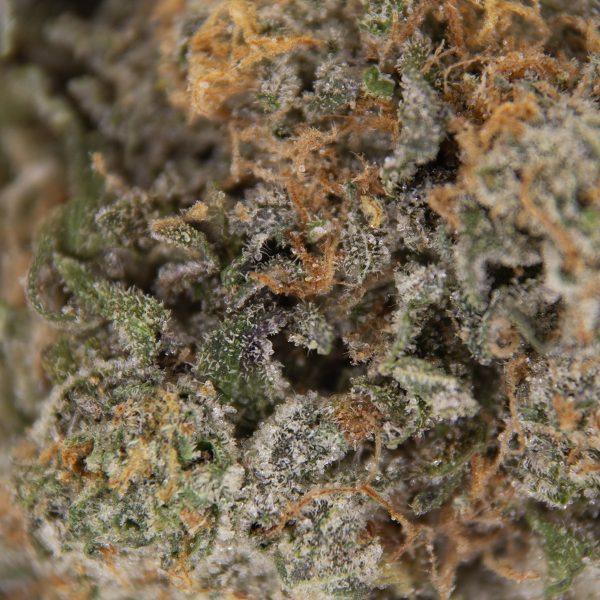 Mendo Cheese AAA - Image 3