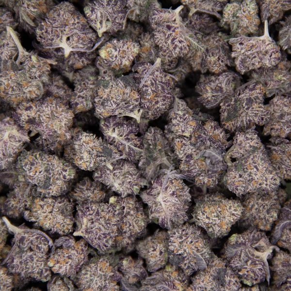 Purple Diesel AAA - Image 3