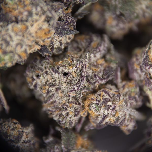 Purple Diesel AAA - Image 2