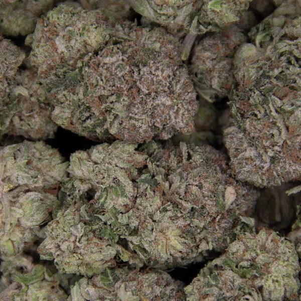 Purple Kush AAA - Image 2