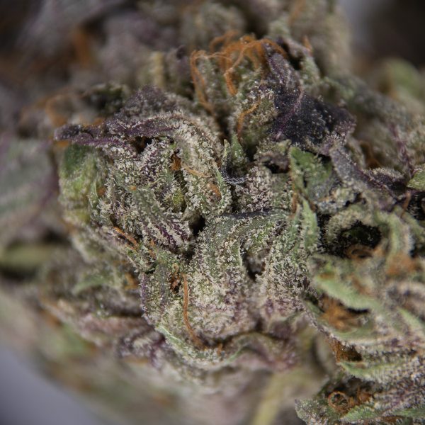 Rockstar Bubba AA+ - Image 2