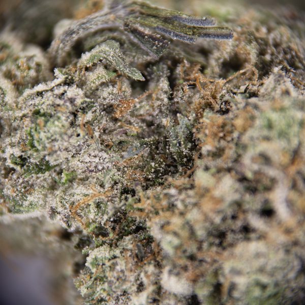 Park Fire OG AAAA+/Craft - Image 2