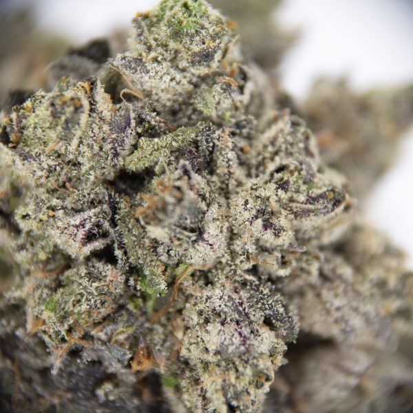 Black Cherry Gas AAAA - Image 2