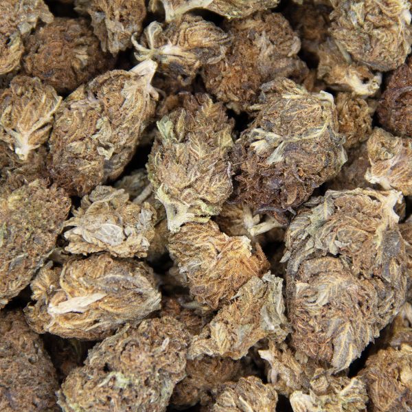 SFV OG AA- - Image 2