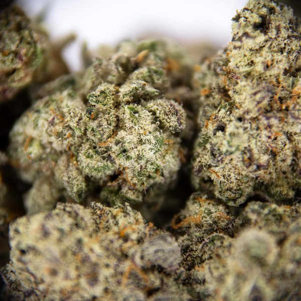 Blue Dream (smalls) AAA - Image 2