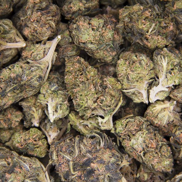 Casey Jones AA - Image 2