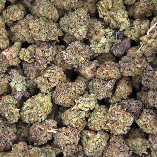 Chemdawg (smalls) AAA - Image 3