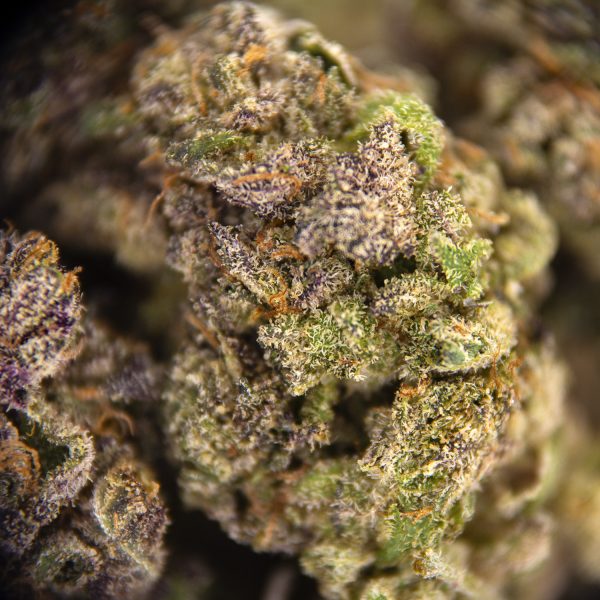 Chemdawg (smalls) AAA - Image 2