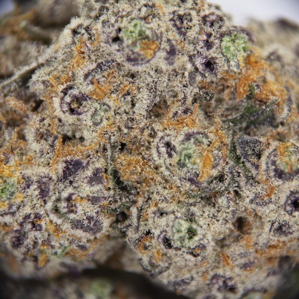 Crystal Coma AAA+ - Image 2