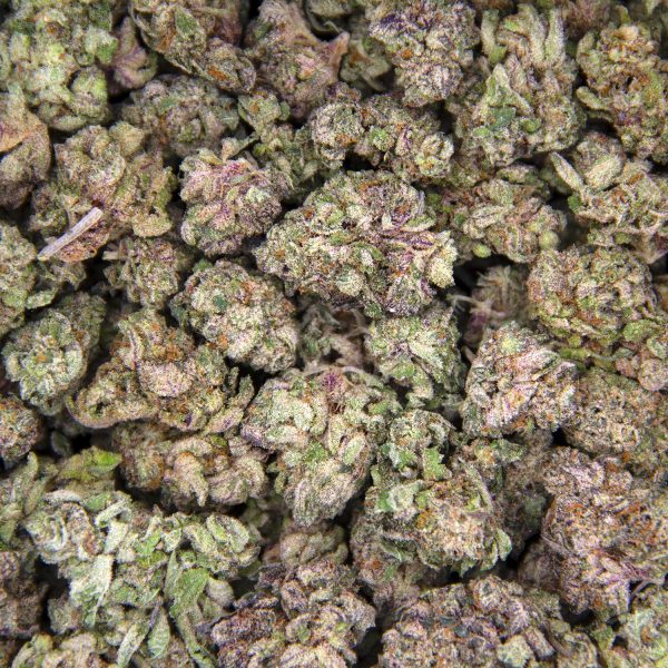 Donkey Butter (smalls) AAA - Image 3