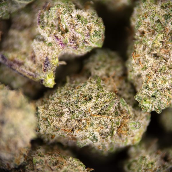 Goji Berry (popcorn) AAA - Image 2