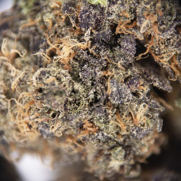 Granddaddy Purple AAA - Image 2