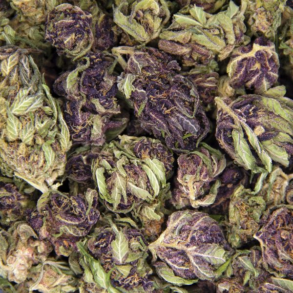 Grape Gas AA - Image 3