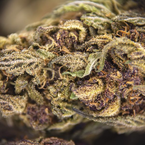 Grape Gas AA - Image 2