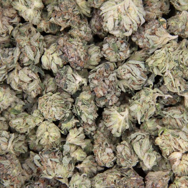 MKU (popcorn)  AA - Image 2