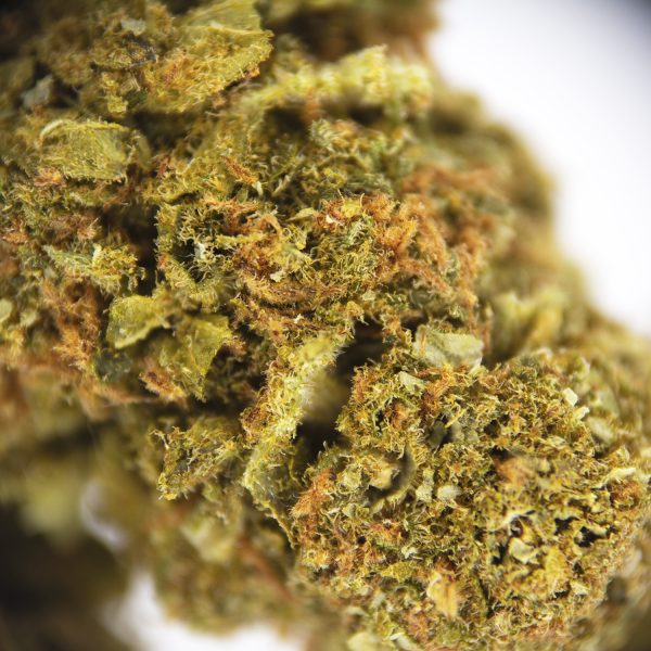 Mango Kush AA - Image 2