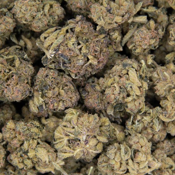 Orange Apricot AA - Image 3