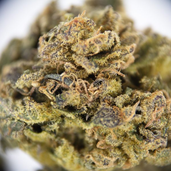 Orange Apricot AA - Image 2