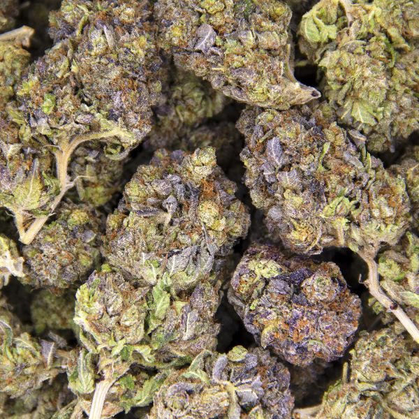Pink Tuna AAA - Image 3