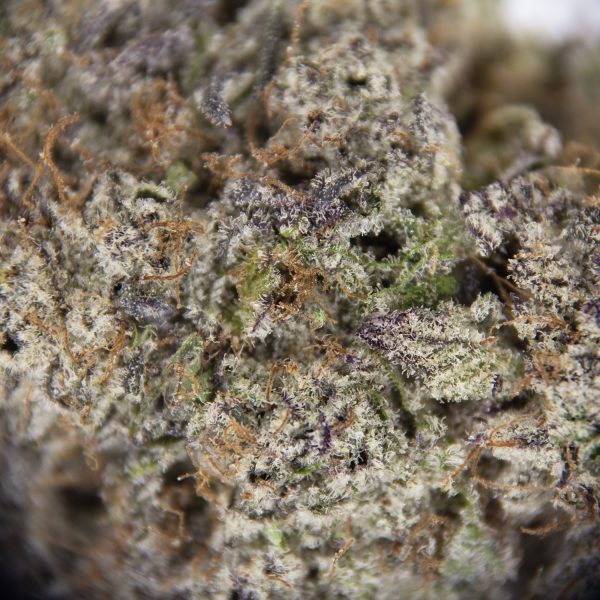 Rainbow Sherbet AAAA - Image 2