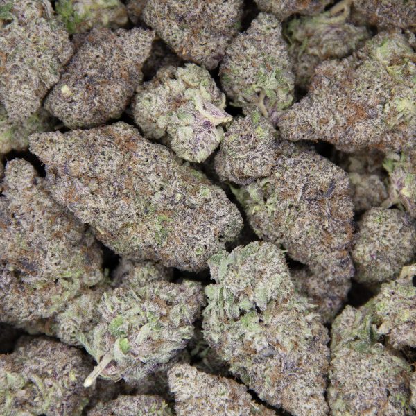 Rainbow Sherbet AAAA - Image 3