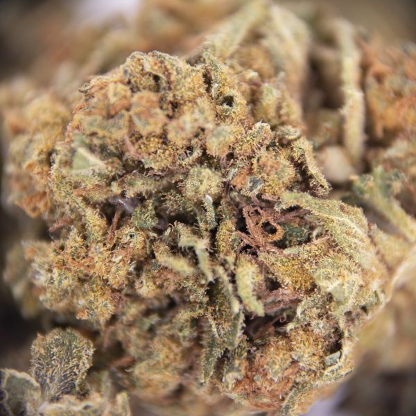 Sour Haze  AA - Image 2