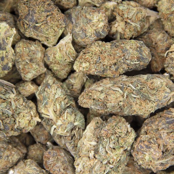 Trainwreck AA - Image 2